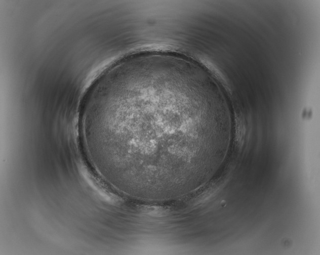 X0000111470486200907131522