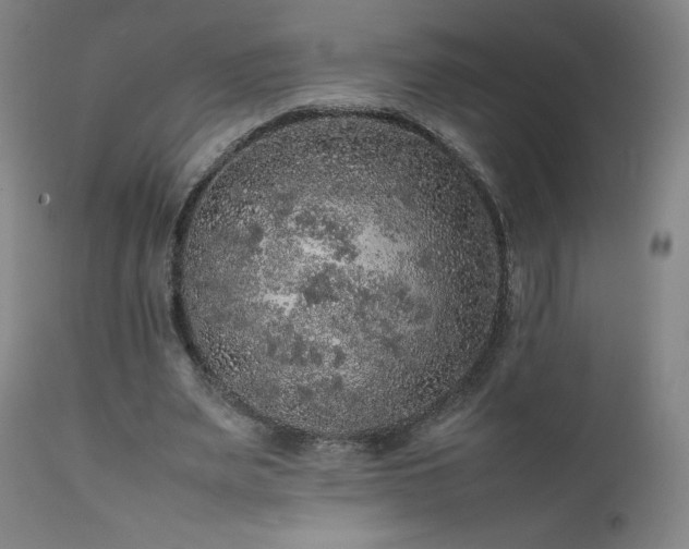 X0000111470487200907131522