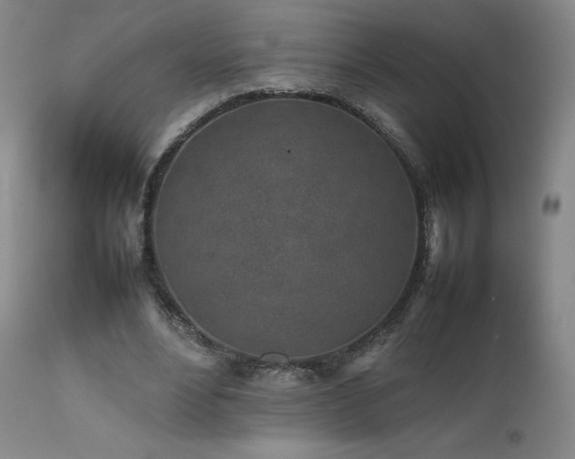 X0000111470488200907131522
