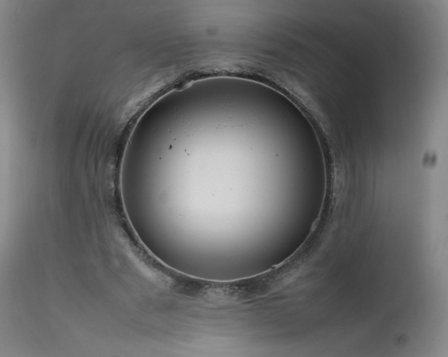X0000111470489200907131522