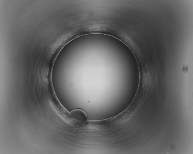 X0000111470490200907131522