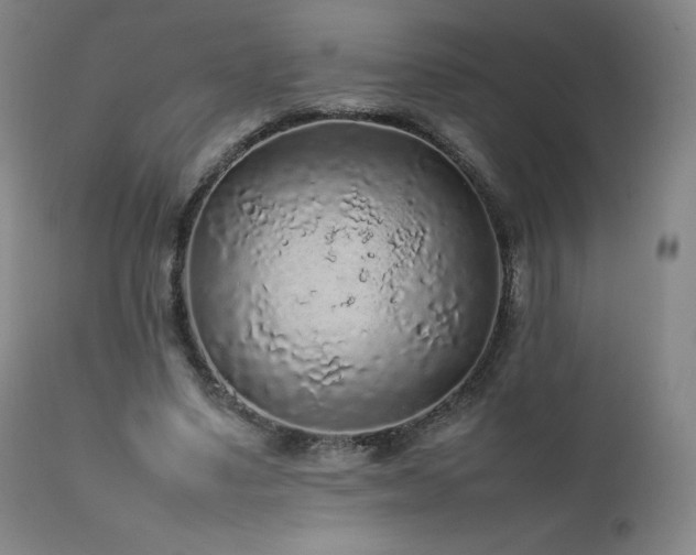 X0000111470491200907131522