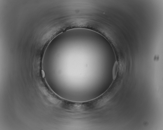 X0000111470493200907131522