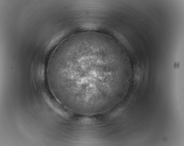 X0000111470494200907131522