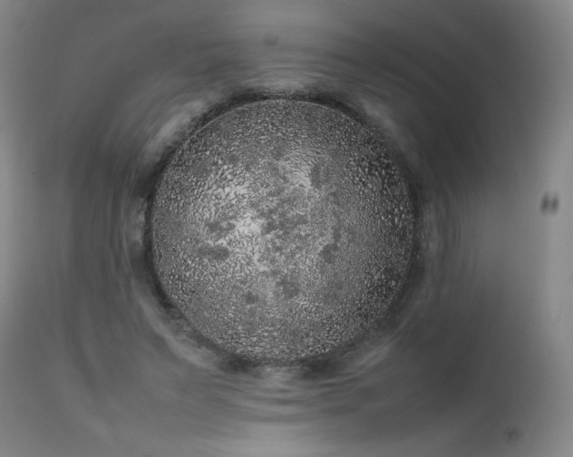 X0000111470495200907131522