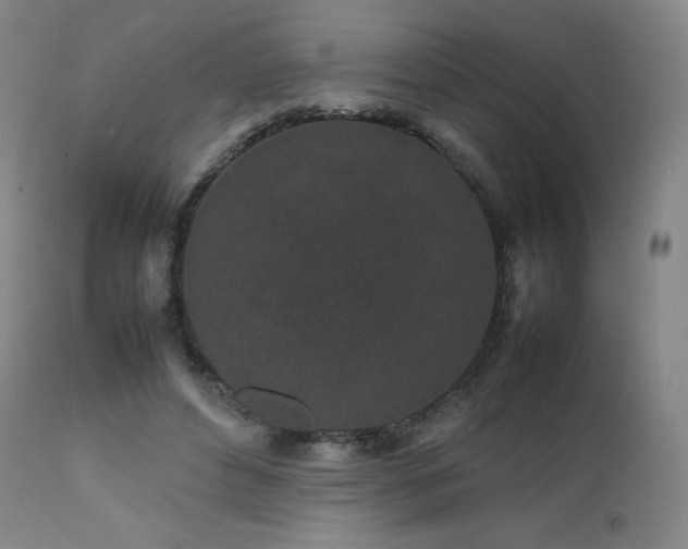 X0000111470496200907131522