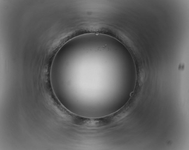 X0000111470497200907131522
