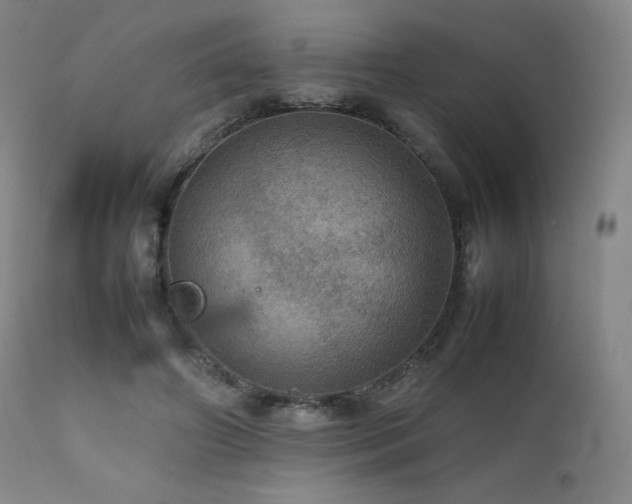 X0000111470498200907131522