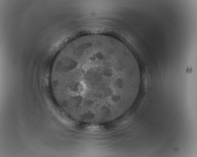 X0000111470499200907131522