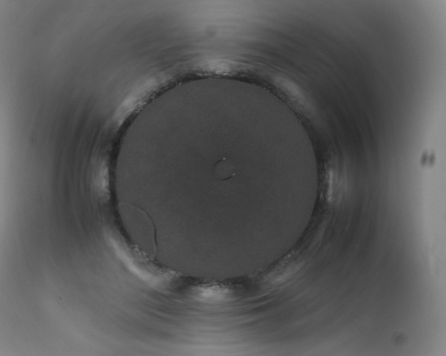X0000111470500200907131522