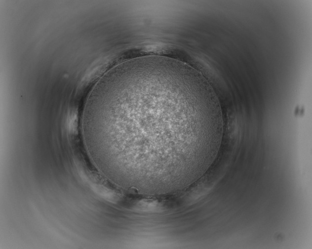 X0000111470502200907131522