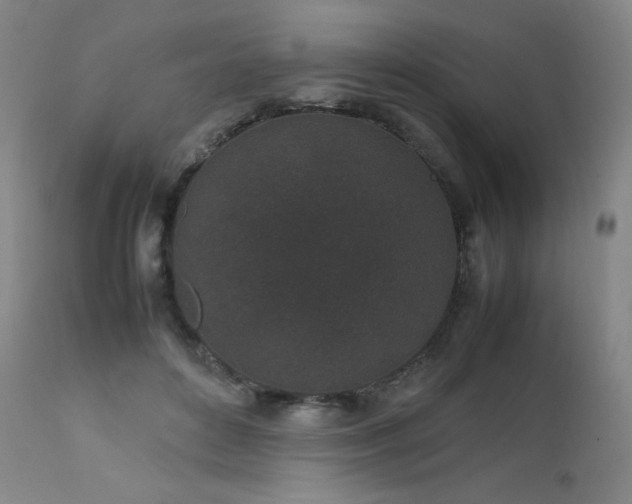X0000111470504200907131522