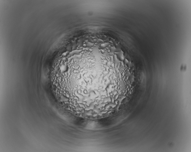 X0000111470507200907131522