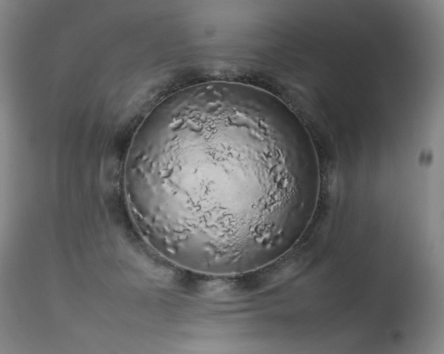 X0000111470511200907131522