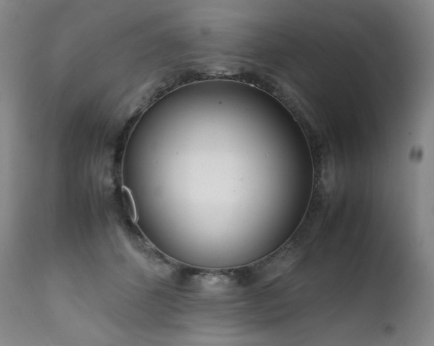 X0000111470512200907131522