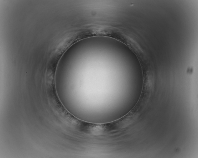X0000111470513200907131521