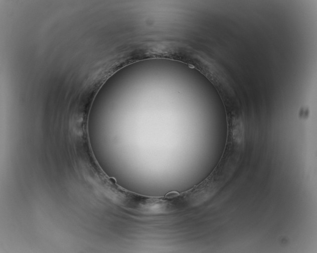 X0000111470514200907131521