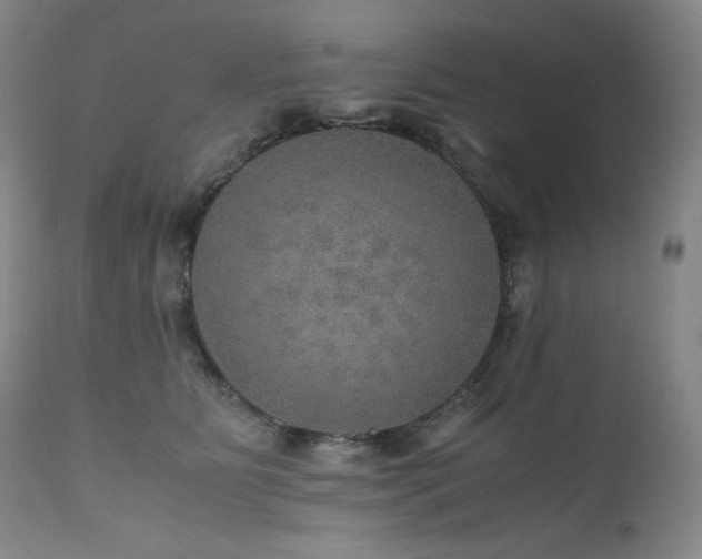 X0000111470515200907131521