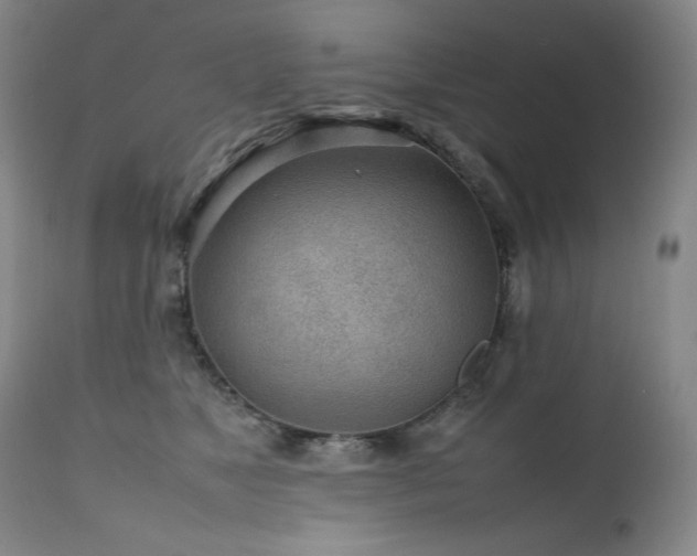 X0000111470517200907131521