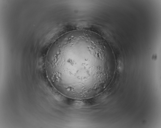X0000111470519200907131521