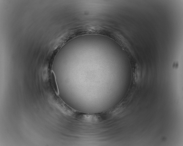 X0000111470520200907131521
