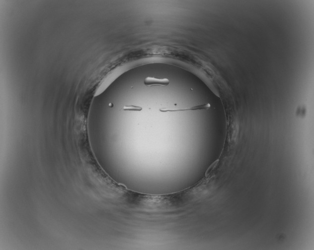 X0000111470521200907131521