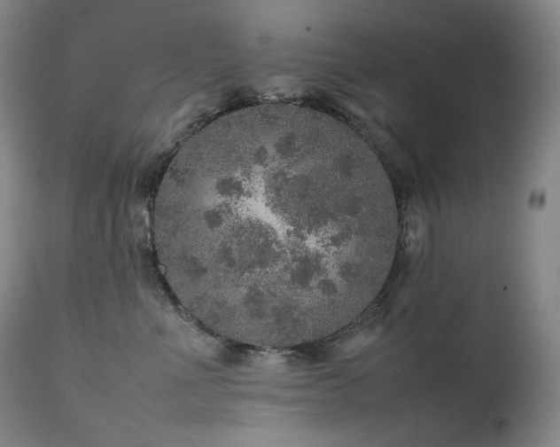 X0000111470523200907131521