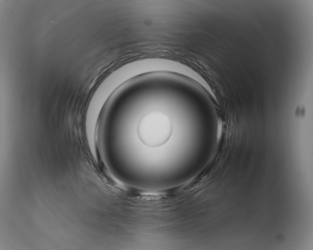 X0000111470524200907131521