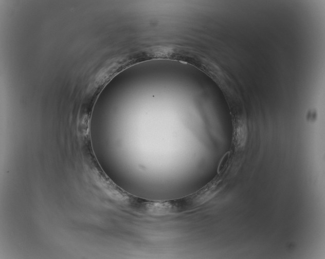 X0000111470525200907131521