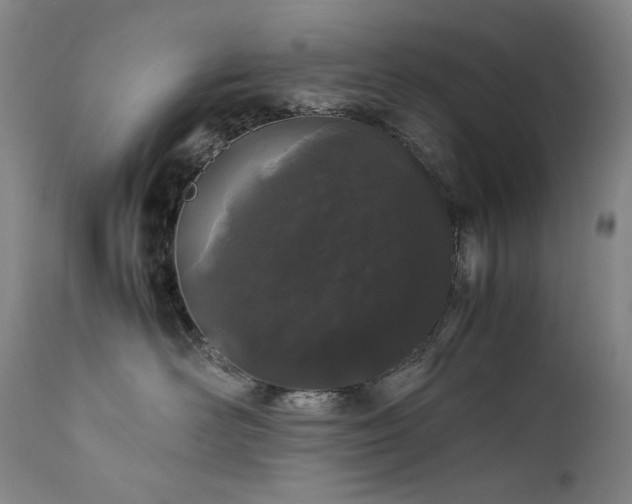 X0000111470526200907131521
