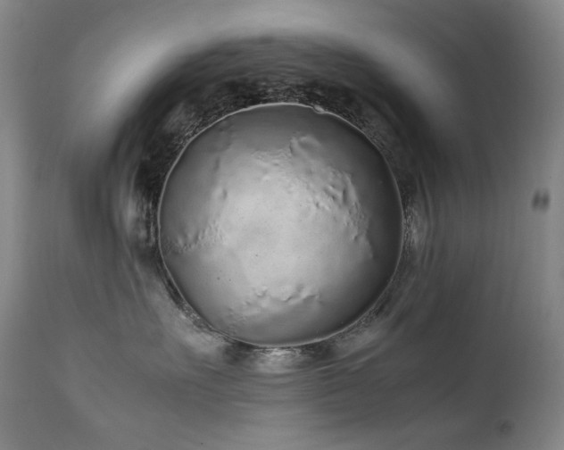 X0000111470527200907131521