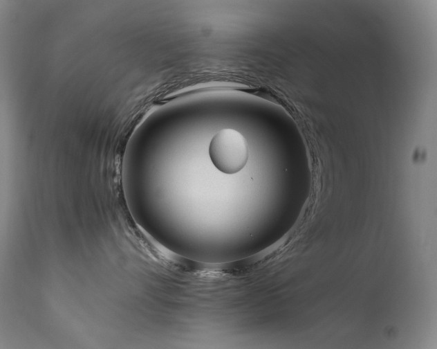 X0000111470528200907131521