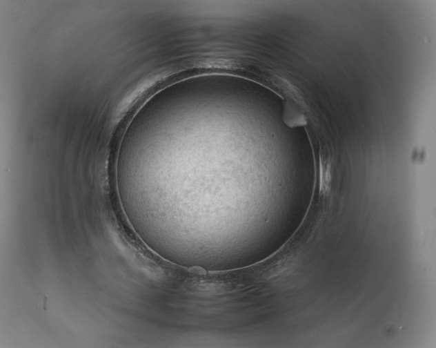X0000111470531200907131520