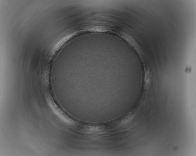 X0000111470533200907131521