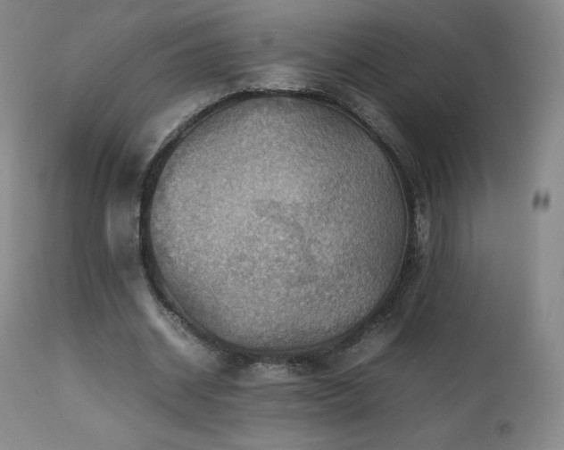 X0000111470534200907131521