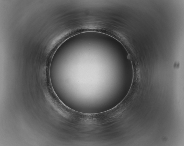 X0000111470535200907131521