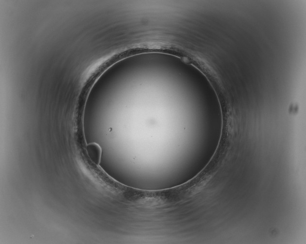 X0000111470536200907131521