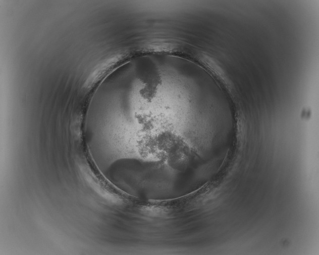 X0000111470537200907131521