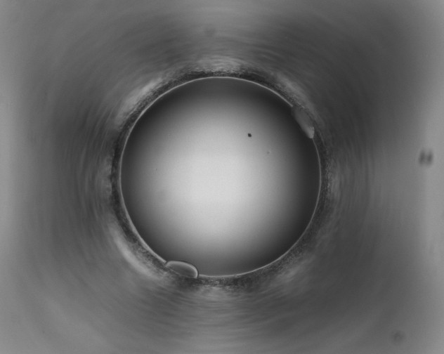 X0000111470538200907131521