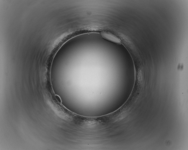 X0000111470540200907131521