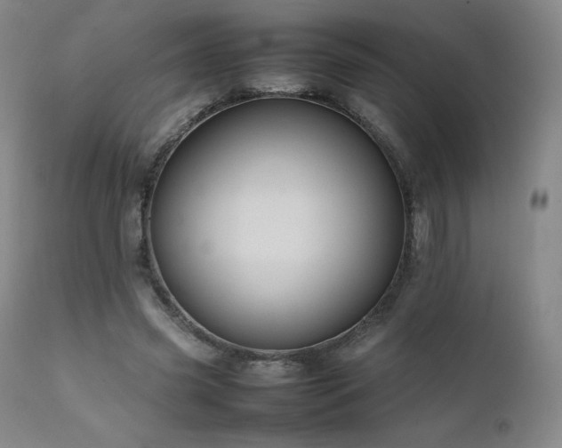 X0000111470541200907131521
