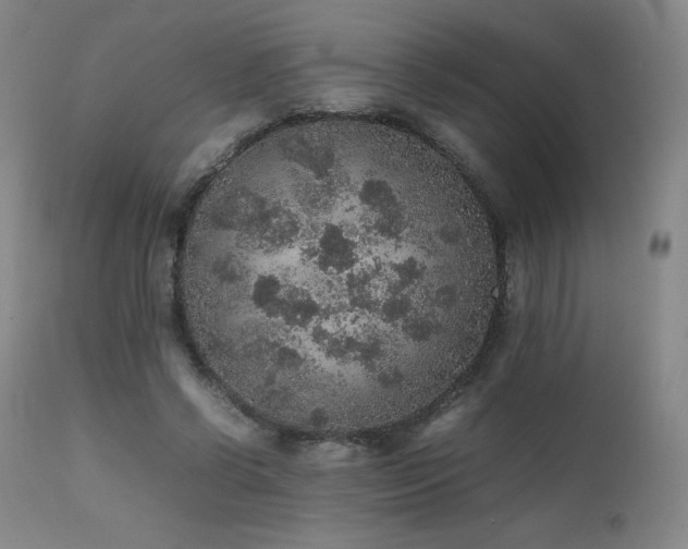 X0000111470542200907131521