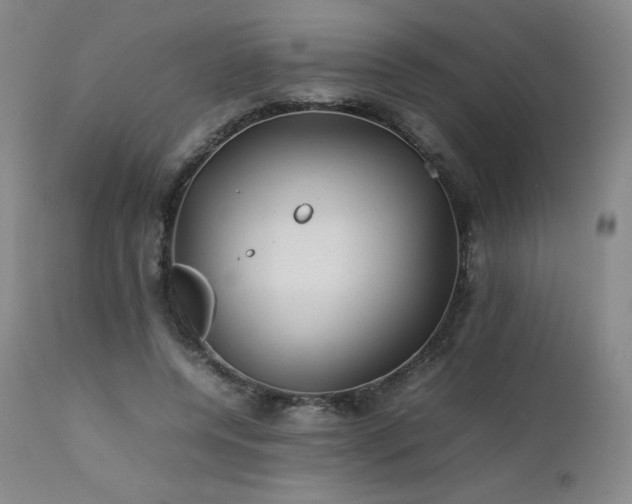 X0000111470544200907131521