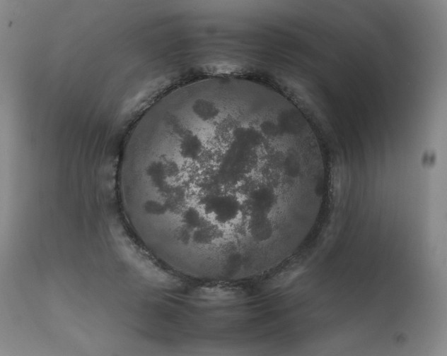 X0000111470545200907131521