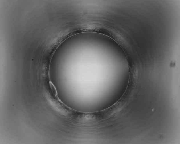 X0000111470546200907131521