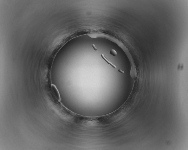 X0000111470548200907131521