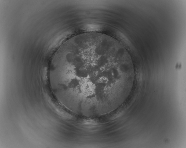 X0000111470549200907131521