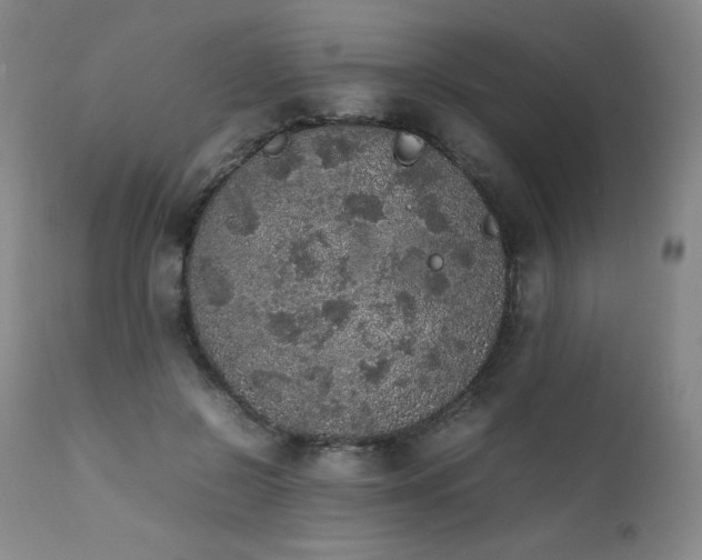 X0000111470550200907131521