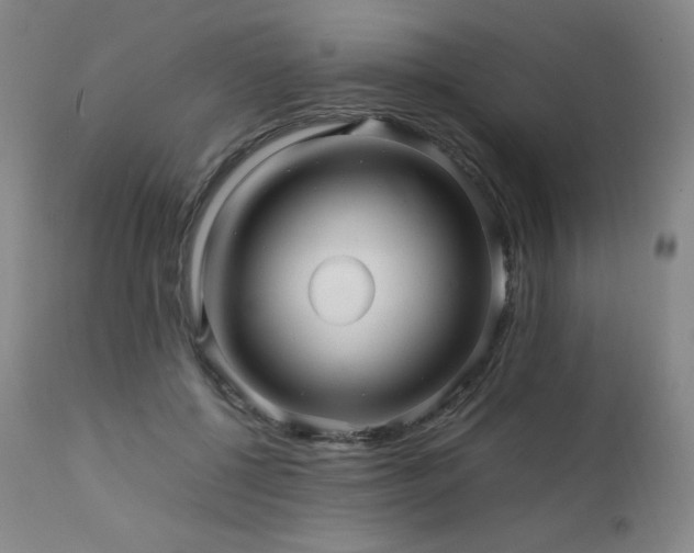 X0000111470552200907131521