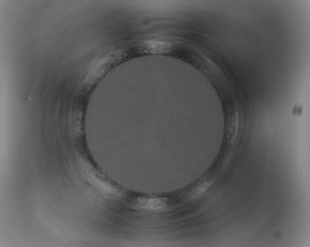 X0000111470553200907131521